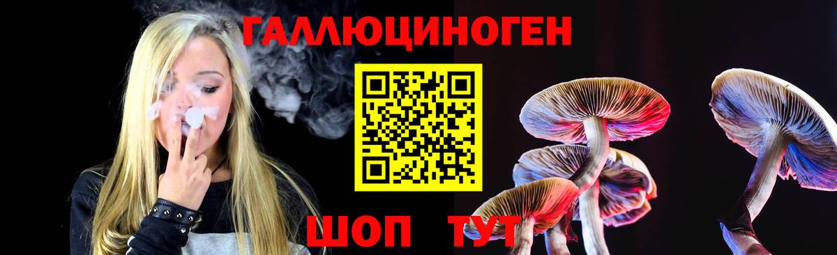 Псилоцибиновые грибы Psilocybine cubensis Дятьково