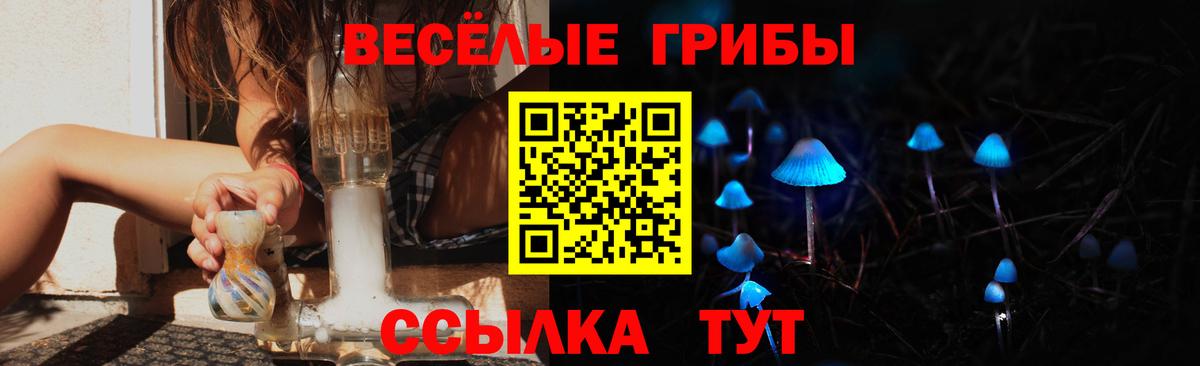 Дятьково  наркотики  Вход с VPN  Псилоцибиновые грибы Psilocybine cubensis  Галлюциногенные грибы прущие грибы 